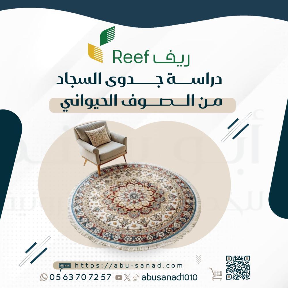 دراسة جدوى السجاد من الصوفي الحيواني | ريف