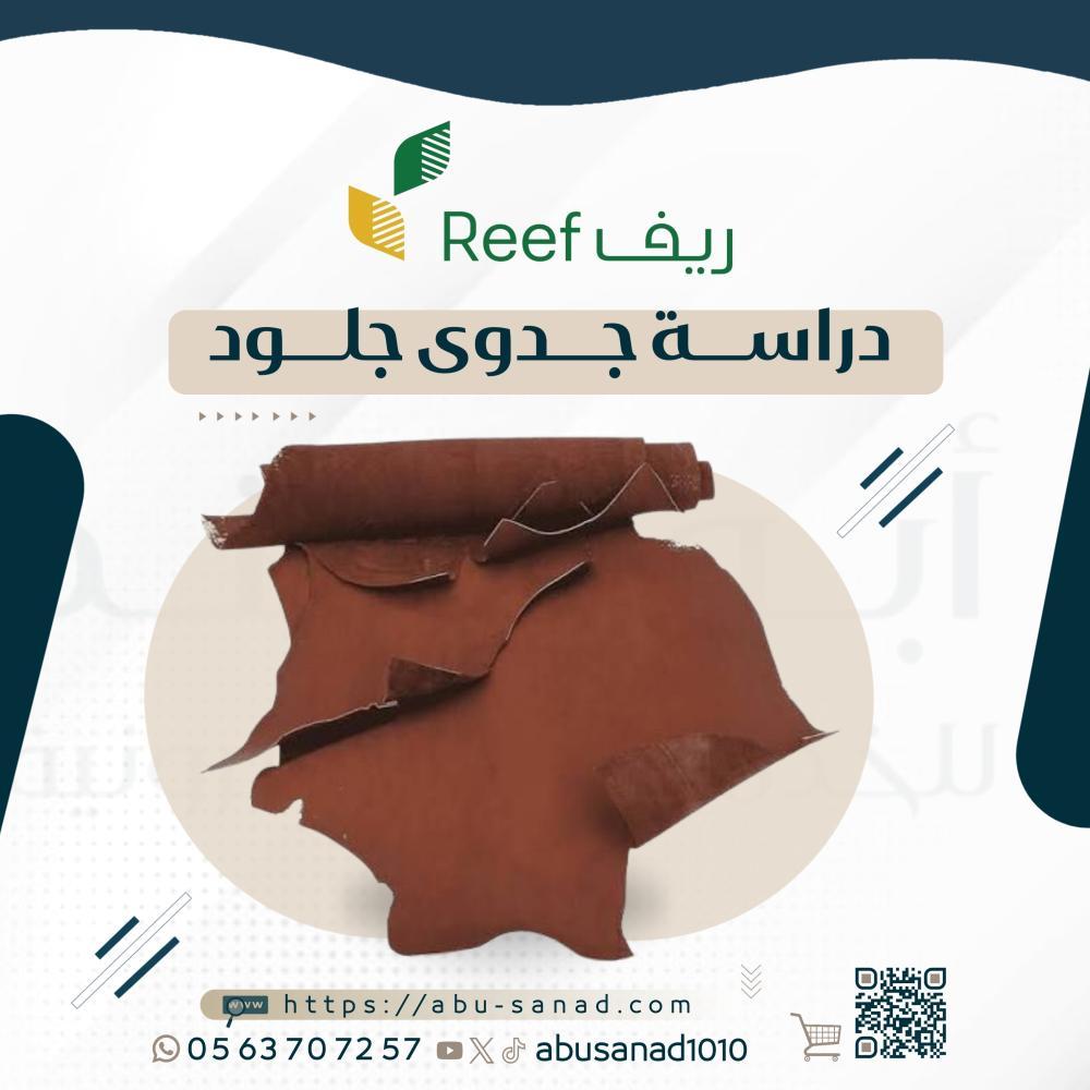 دراسة جدوى ريف - جلود